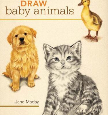 خرید و دانلود نسخه کامل کتاب Draw Baby Animals