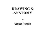 خرید و دانلود نسخه کامل کتاب Drawing & Anatomy / Рисунок и анатомия