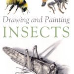 خرید و دانلود نسخه کامل کتاب Drawing and Painting Insects