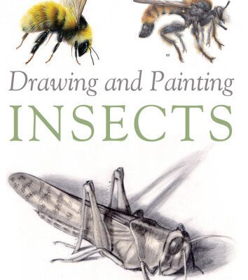 خرید و دانلود نسخه کامل کتاب Drawing and Painting Insects