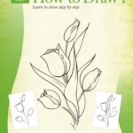 خرید و دانلود نسخه کامل کتاب Drawing: How to Draw 1