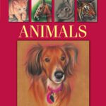 خرید و دانلود نسخه کامل کتاب Drawing in Color – Animals