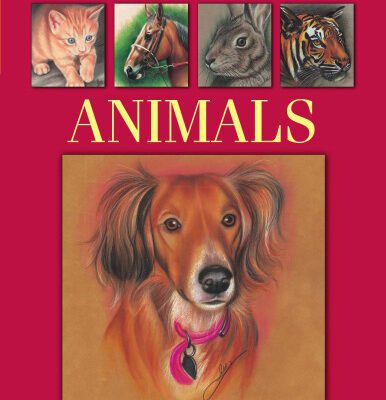خرید و دانلود نسخه کامل کتاب Drawing in Color – Animals
