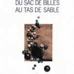 خرید و دانلود نسخه کامل کتاب Du sac de billes au tas de sable