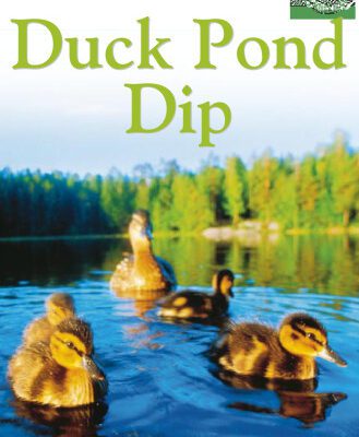 خرید و دانلود نسخه کامل کتاب Duck Pond Dip (DK Readers Pre-Level 1)