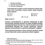 خرید و دانلود نسخه کامل کتاب Dus Soruları ve Açıklamalı Cevaplı Kitapçığı