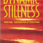خرید و دانلود نسخه کامل کتاب Dynamic Stillness Part One: The Practice of Trika Yoga