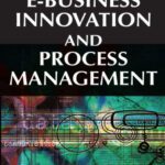خرید و دانلود نسخه کامل کتاب E-Business Innovation and Process Management (Advances in E-Business Research)