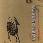 خرید و دانلود نسخه کامل کتاب 南阳麒麟岗汉画像石墓