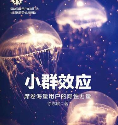 خرید و دانلود نسخه کامل کتاب 小群效应 : 席卷海量用户的隐性力量