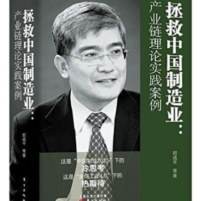 خرید و دانلود نسخه کامل کتاب 拯救中国制造业：产业链理论实践案例