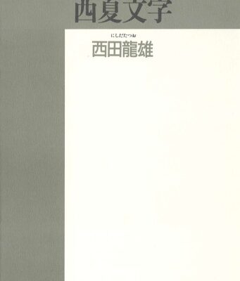 خرید و دانلود نسخه کامل کتاب 西夏文字―その解読のプロセス (精選復刻紀伊国屋新書)