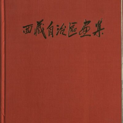 خرید و دانلود نسخه کامل کتاب 西藏自治區画集 [Xīzàng zìzhìqū huàjí]