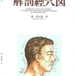 خرید و دانلود نسخه کامل کتاب 解剖経穴図