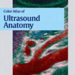 خرید و دانلود نسخه کامل کتاب Ecografia. Color Atlas of Ultrasound Anatomy