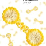 خرید و دانلود نسخه کامل کتاب Edrolo VCE Chemistry Units 3 & 4