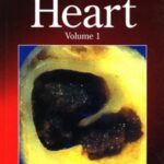 خرید و دانلود نسخه کامل کتاب Education in Heart (Volume 1)