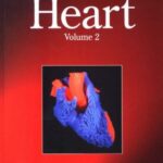 خرید و دانلود نسخه کامل کتاب Education in Heart (Volume 2)