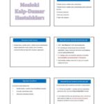 خرید و دانلود نسخه کامل کتاب EFE AKADEMİ İŞYERİ HEKİMLİĞİ NOTLARI