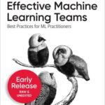 خرید و دانلود نسخه کامل کتاب Effective Machine Learning Teams