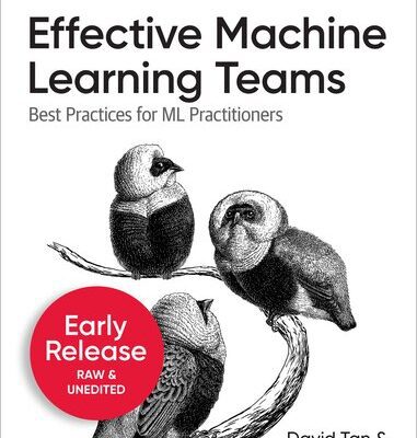 خرید و دانلود نسخه کامل کتاب Effective Machine Learning Teams