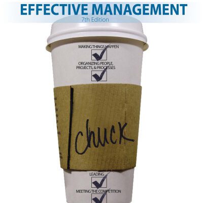 خرید و دانلود نسخه کامل کتاب Effective Management