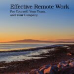 خرید و دانلود نسخه کامل کتاب Effective Remote Work: For Yourself, Your Team, and Your Company