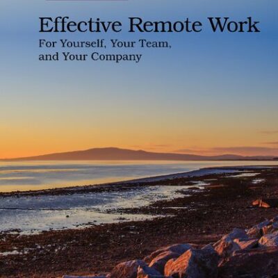 خرید و دانلود نسخه کامل کتاب Effective Remote Work: For Yourself, Your Team, and Your Company
