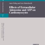 خرید و دانلود نسخه کامل کتاب Effects of Extracellular Adenosine and ATP on Cardiomyocytes