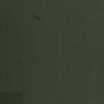 خرید و دانلود نسخه کامل کتاب Egypt’s Liberation – The Philosophy of the Revolution