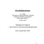 خرید و دانلود نسخه کامل کتاب Eichtheorien