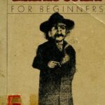 خرید و دانلود نسخه کامل کتاب Einstein for Beginners