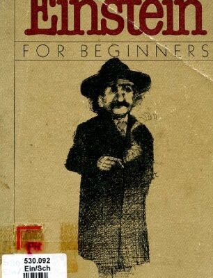 خرید و دانلود نسخه کامل کتاب Einstein for Beginners