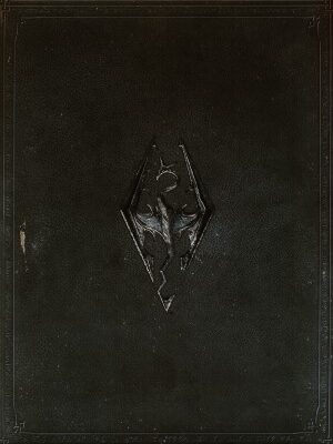 خرید و دانلود نسخه کامل کتاب Elder Scrolls V The Art of Skyrim Official Art Book