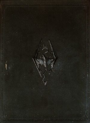 خرید و دانلود نسخه کامل کتاب Elder Scrolls V The Art of Skyrim Official Art Book_68d4167ae9fc2.jpeg خرید و دانلود نسخه کامل کتاب Elder Scrolls V The Art of Skyrim Official Art Book
