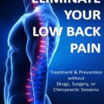 خرید و دانلود نسخه کامل کتاب Eliminate your Low Back Pain: Treatment & Prevention without Drugs, Surgery, or Chiropractic Sessions