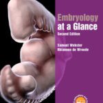 خرید و دانلود نسخه کامل کتاب Embryology at a Glance
