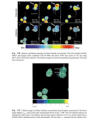 خرید و دانلود نسخه کامل کتاب Emerging Tools for Single-Cell Analysis: Advances in Optical Measurement Technologies