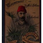 خرید و دانلود نسخه کامل کتاب Emin-Pascha, Statthalter von Hatt-el-Estiwa