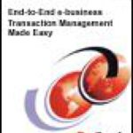 خرید و دانلود نسخه کامل کتاب End-to-End E-business Transaction Management Made Easy