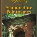 خرید و دانلود نسخه کامل کتاب Energetic Physiology in the Acupuncture Pointnames