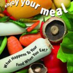 خرید و دانلود نسخه کامل کتاب Enjoy Your Meal: What Happens To Your Food When You Eat? (Let’s Explore Science)