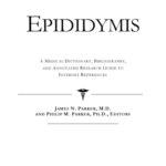 خرید و دانلود نسخه کامل کتاب Epididymis – A Medical Dictionary, Bibliography, and Annotated Research Guide to Internet References