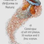 خرید و دانلود نسخه کامل کتاب Ernst Haeckel’s Artforms in Nature