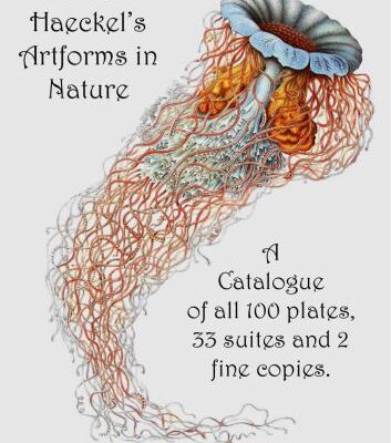 خرید و دانلود نسخه کامل کتاب Ernst Haeckel’s Artforms in Nature