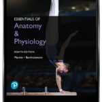 خرید و دانلود نسخه کامل کتاب Essentials of Anatomy and Physiology, Global Edition (8th Edition) – Orginal Pdf