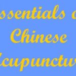 خرید و دانلود نسخه کامل کتاب Essentials of Chinese Acupuncture