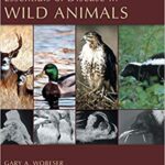 خرید و دانلود نسخه کامل کتاب Essentials of Disease in Wild Animals – Orginal Pdf