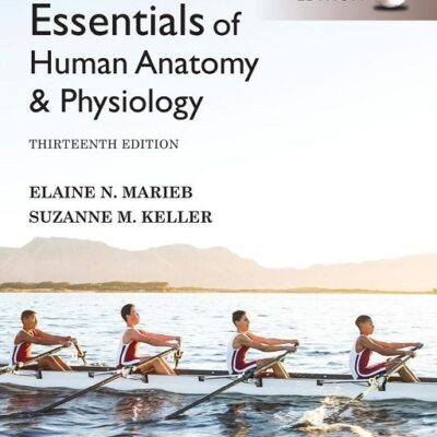 خرید و دانلود نسخه کامل کتاب Essentials of Human Anatomy & Physiology, Global Edition (13th Edition) – Orginal Pdf