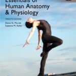 خرید و دانلود نسخه کامل کتاب Essentials of Human Anatomy & Physiology, Global Edition (12th Edition) – Orginal Pdf